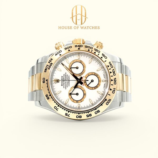 126503 White Oyster