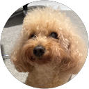 Family Wong profile picture