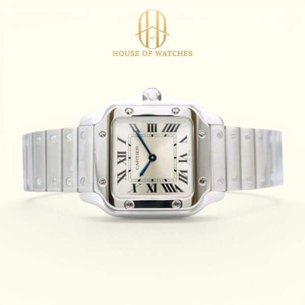 WSSA0082 Silver Sunray Small