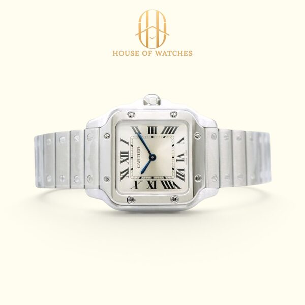 WSSA0082 Silver Sunray Small