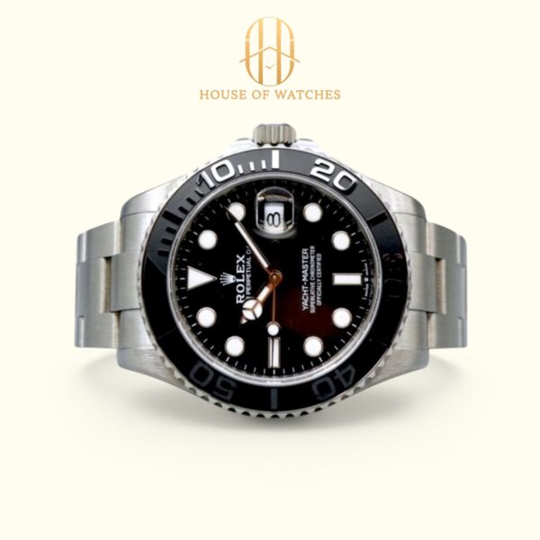 226627 Black Oyster
