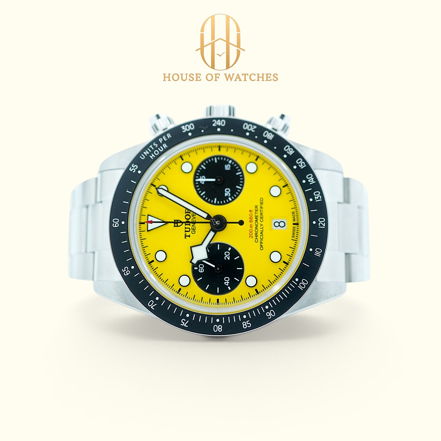 79310N Yellow Oyster