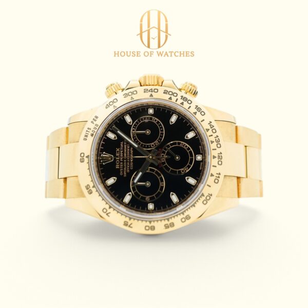 116508 Black Oyster