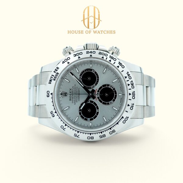 126509 Silver Oyster
