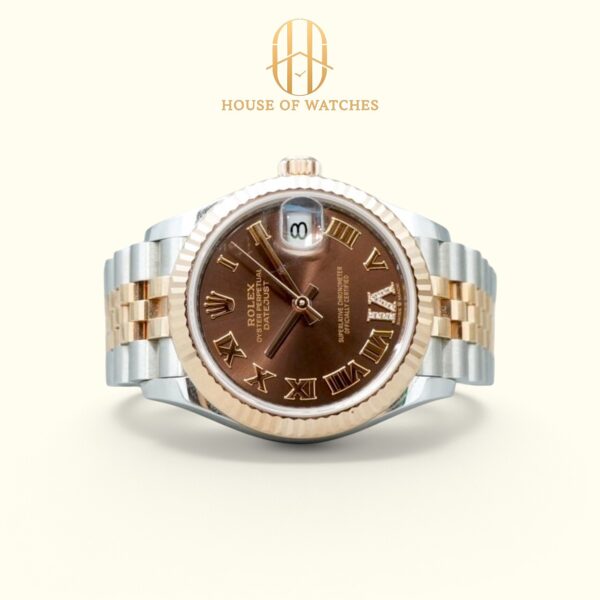 278271 Chocolate VI Jubilee